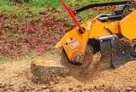 Landscape Design and Installation in Midland, NC